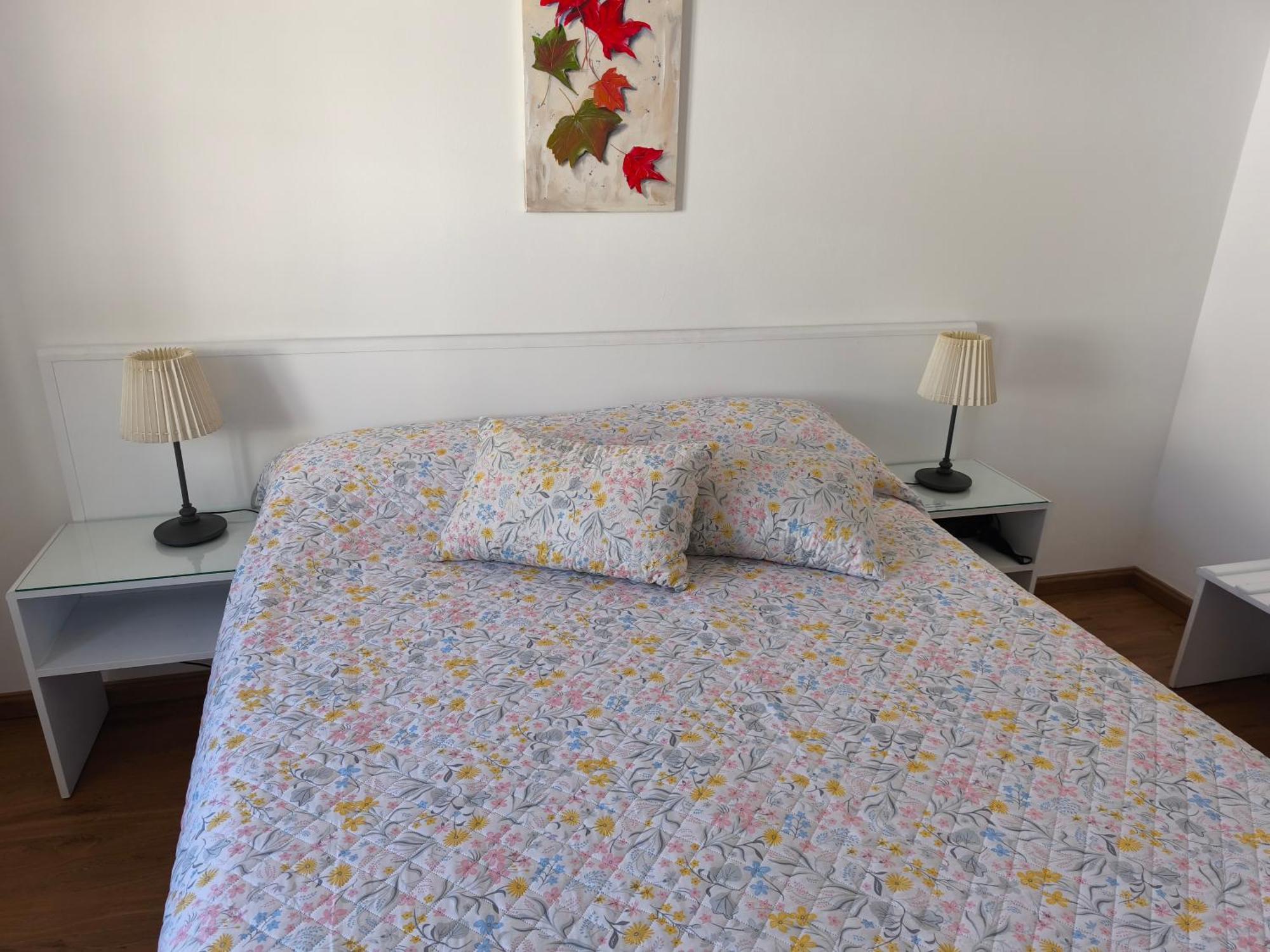 Gorgeous House Apartment Ponta Delgada  Ngoại thất bức ảnh